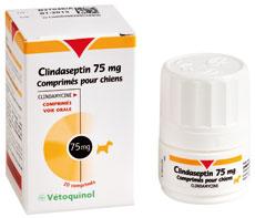 Clindaseptin® 75 mg comprimés